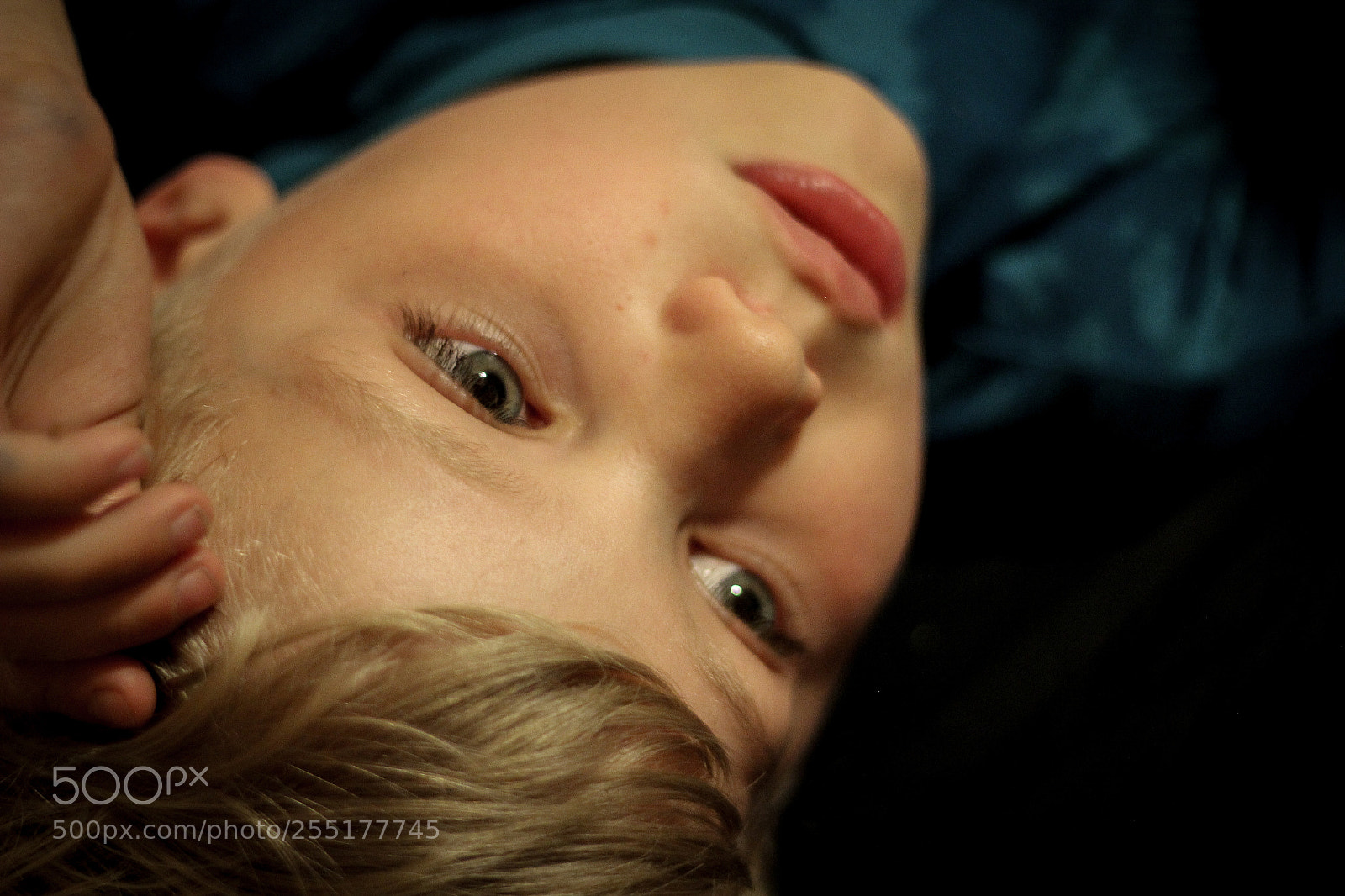Canon EOS 60D sample photo. Untitled photography