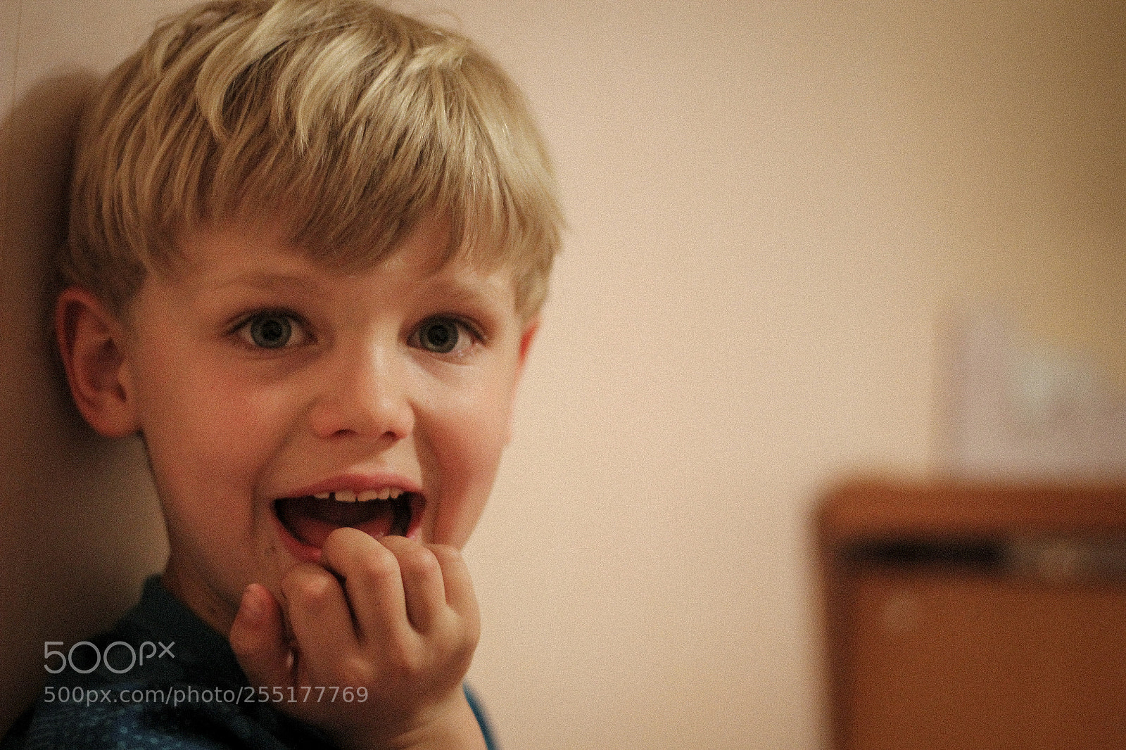 Canon EOS 60D sample photo. Untitled photography