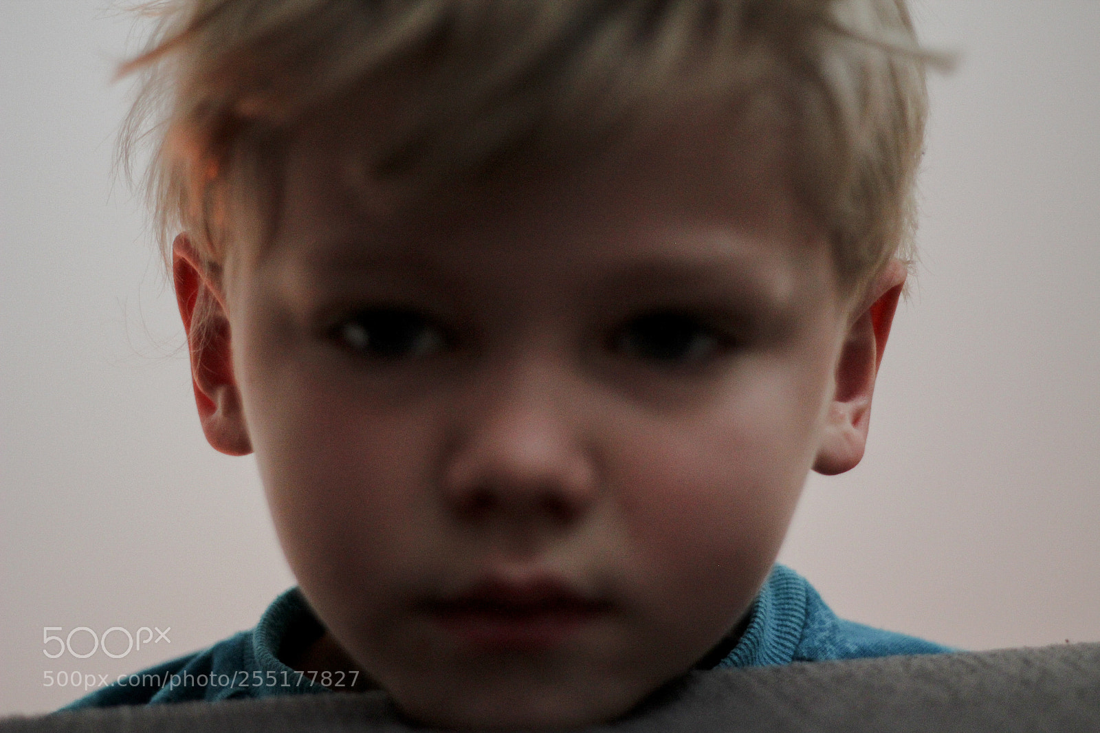Canon EOS 60D sample photo. Untitled photography