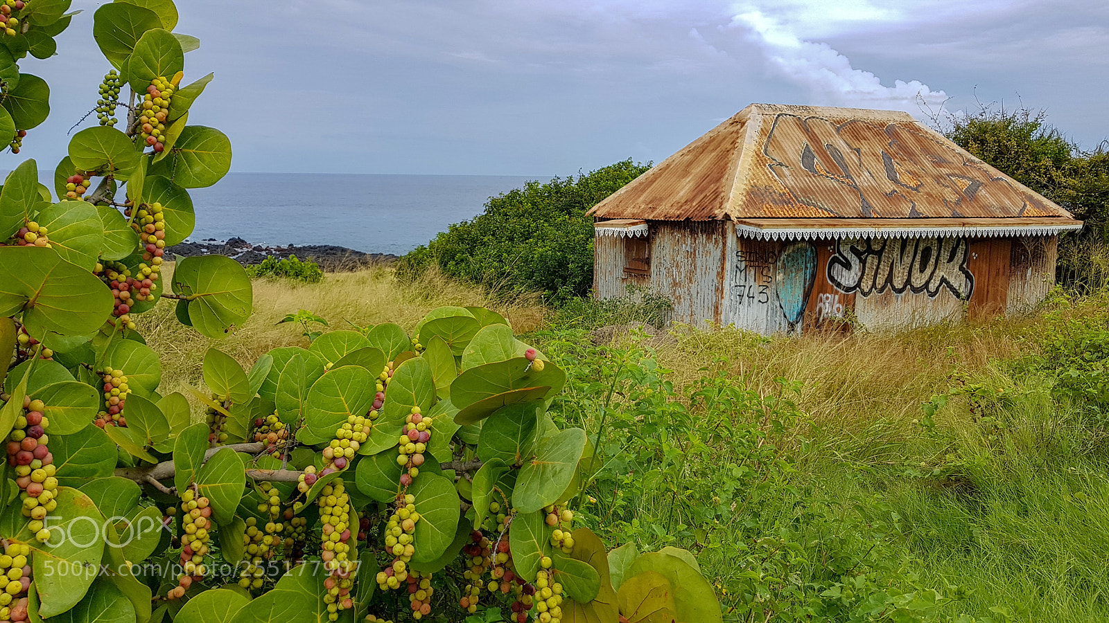 Samsung Galaxy S8 sample photo. Hut photography