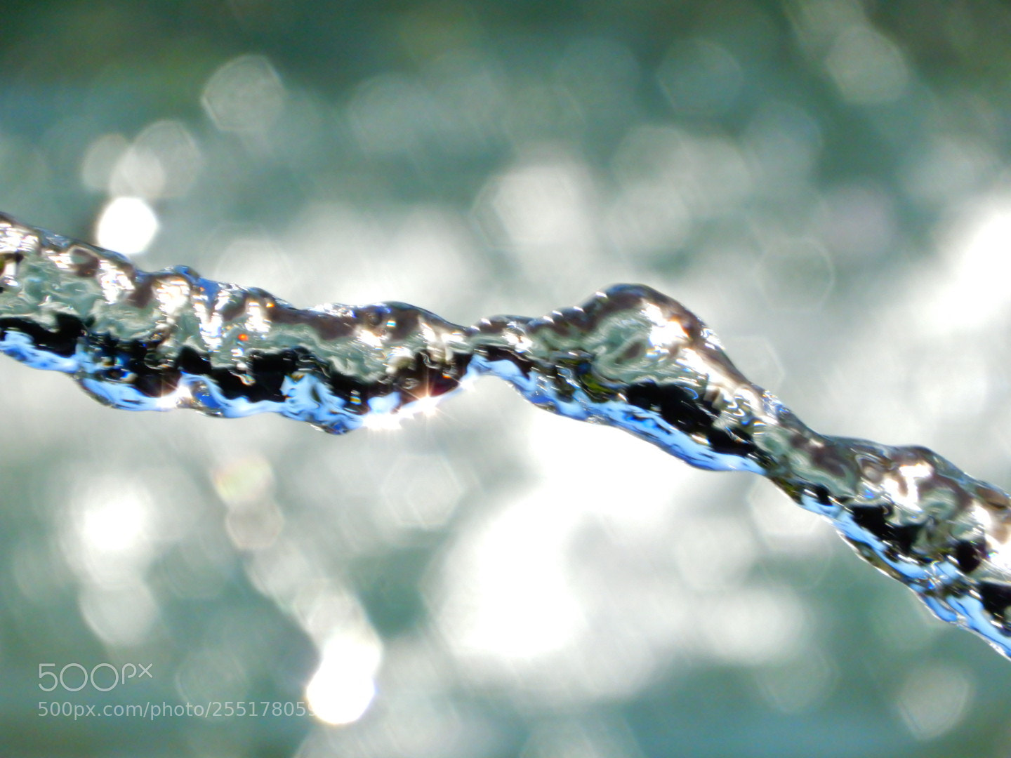 Nikon Coolpix A900 sample photo. Delaserie h2o photography