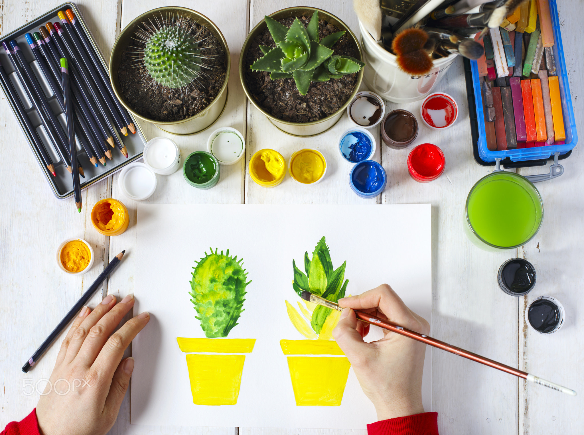 Artist paintes a cactus compositions. Artist workplace surrounde