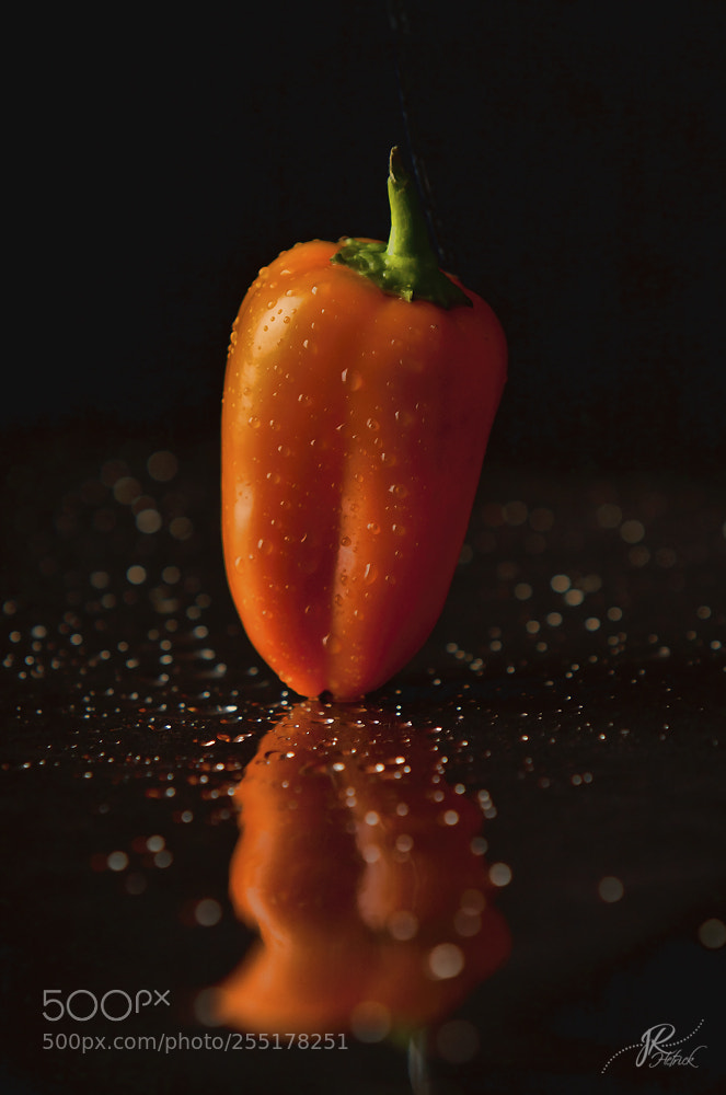 Canon EOS 40D sample photo. A pepper reflects photography