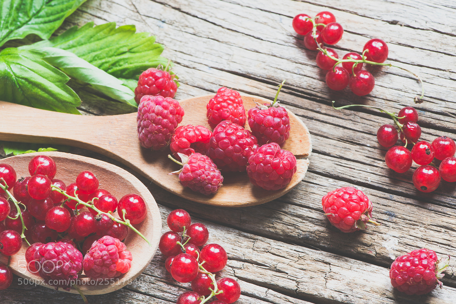 Nikon D800E sample photo. Summer berries photography