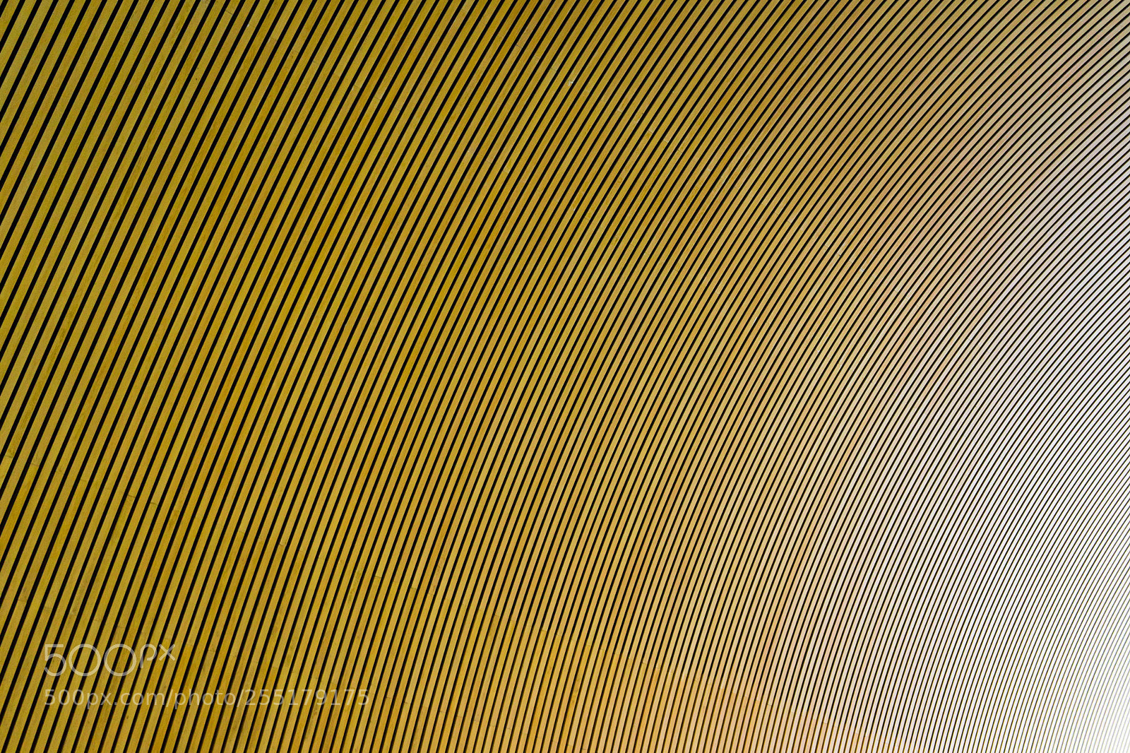 Sony a7 sample photo. Wall photography