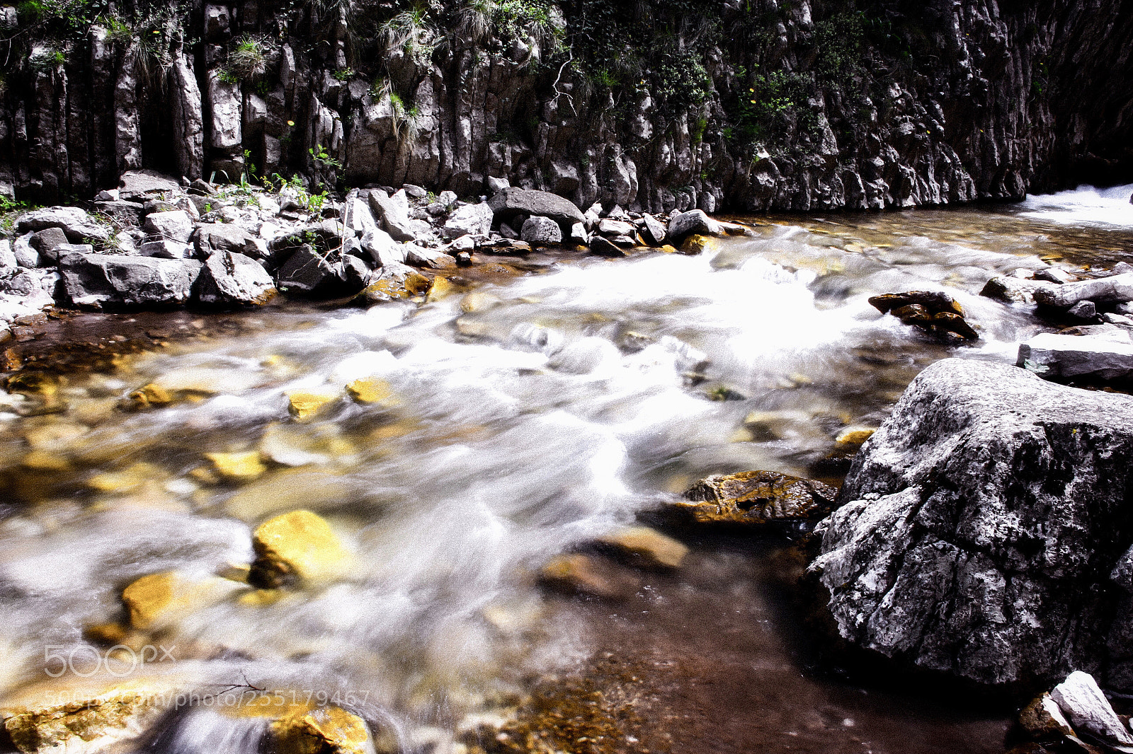 Canon EOS 700D (EOS Rebel T5i / EOS Kiss X7i) sample photo. Colored photography