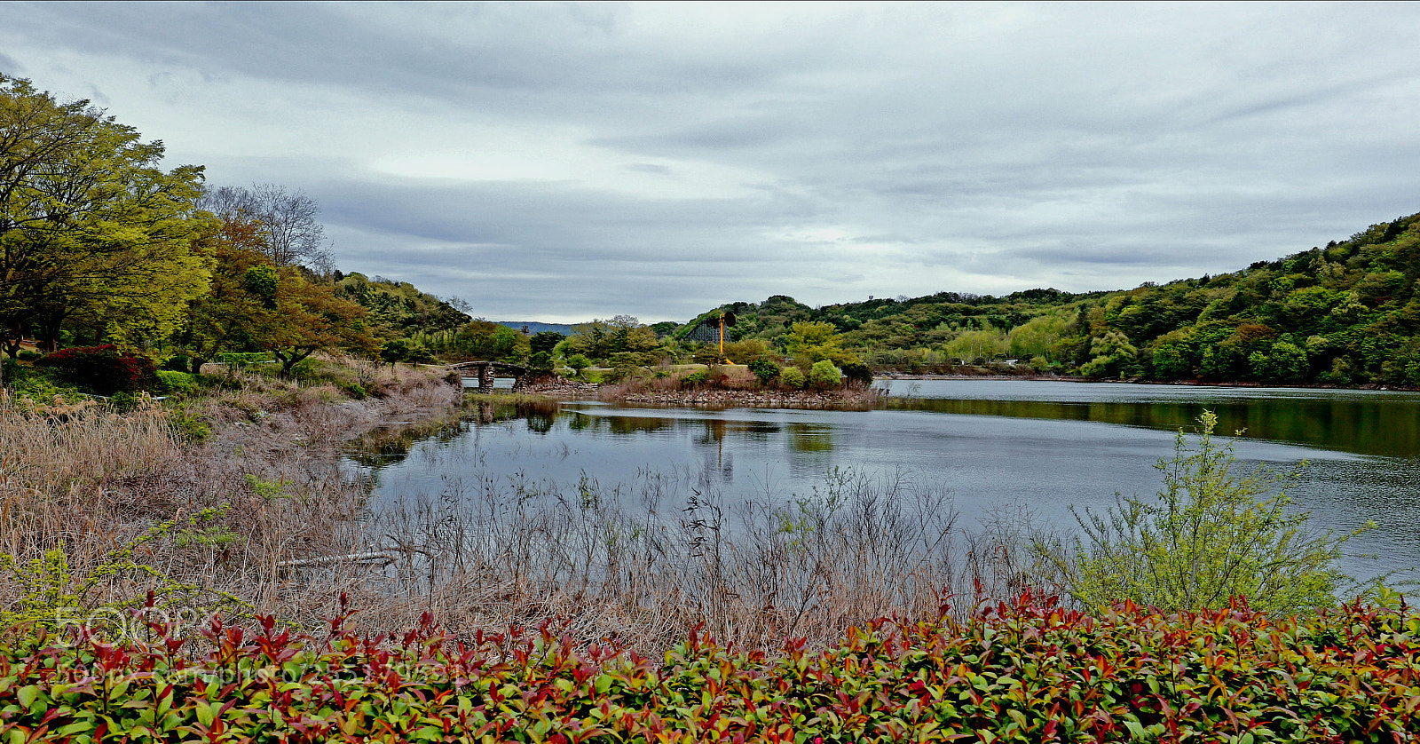 Canon EOS M5 sample photo. Lakeside photography