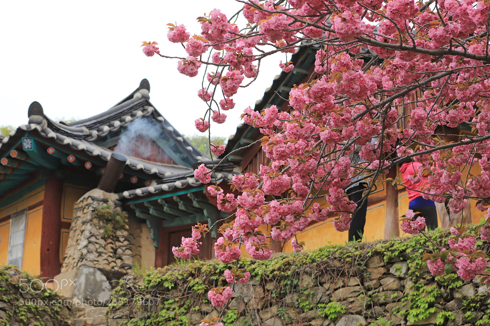 Canon EOS 6D Mark II sample photo. Early spring photography