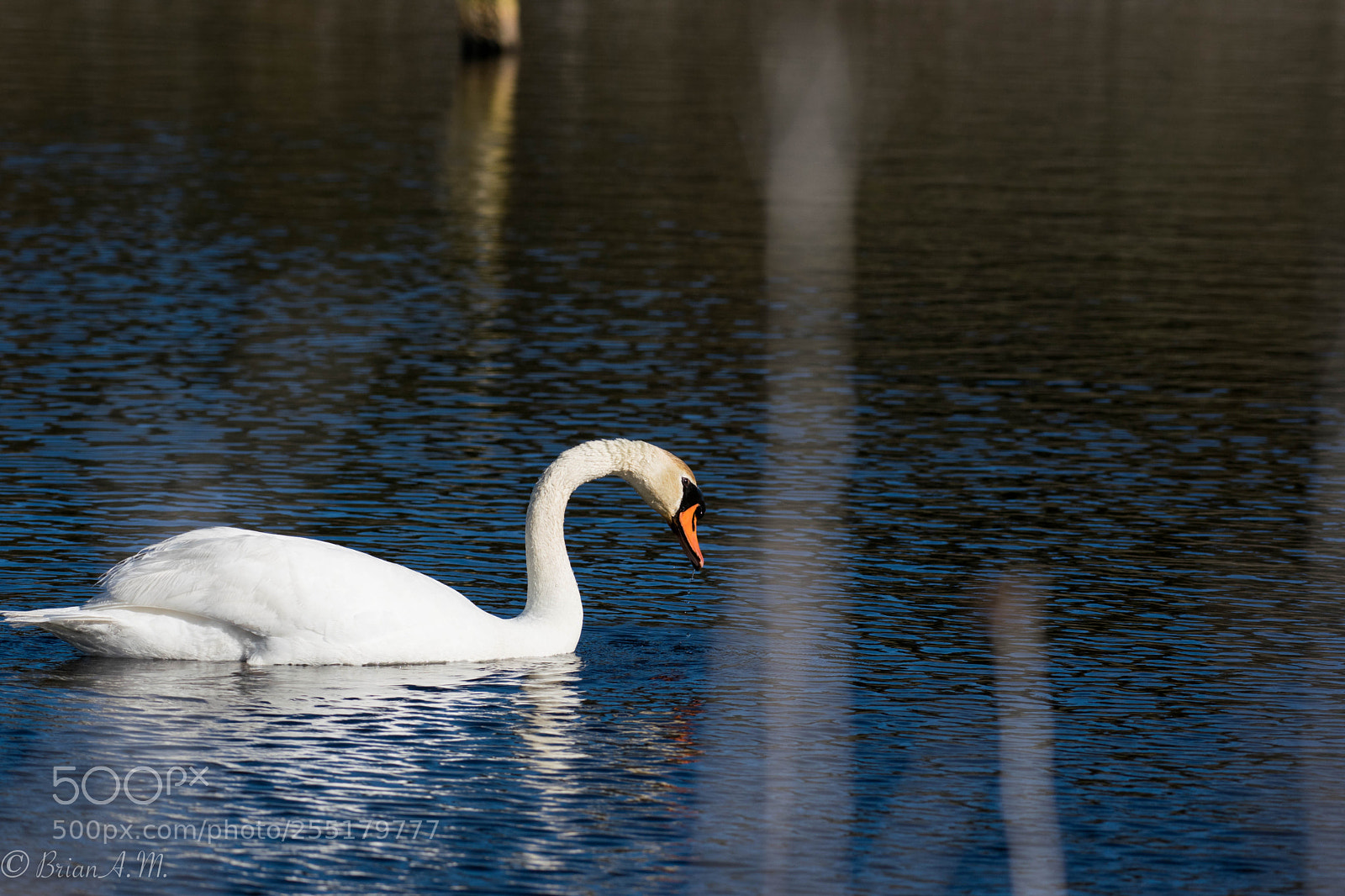 Nikon D5300 sample photo. Untitled photography