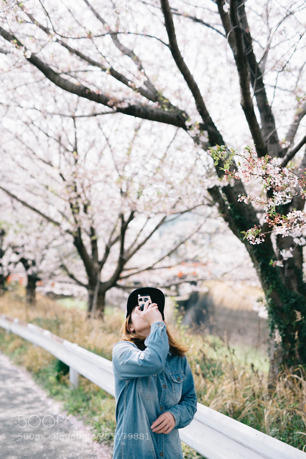 Nikon D610 sample photo. Untitled photography