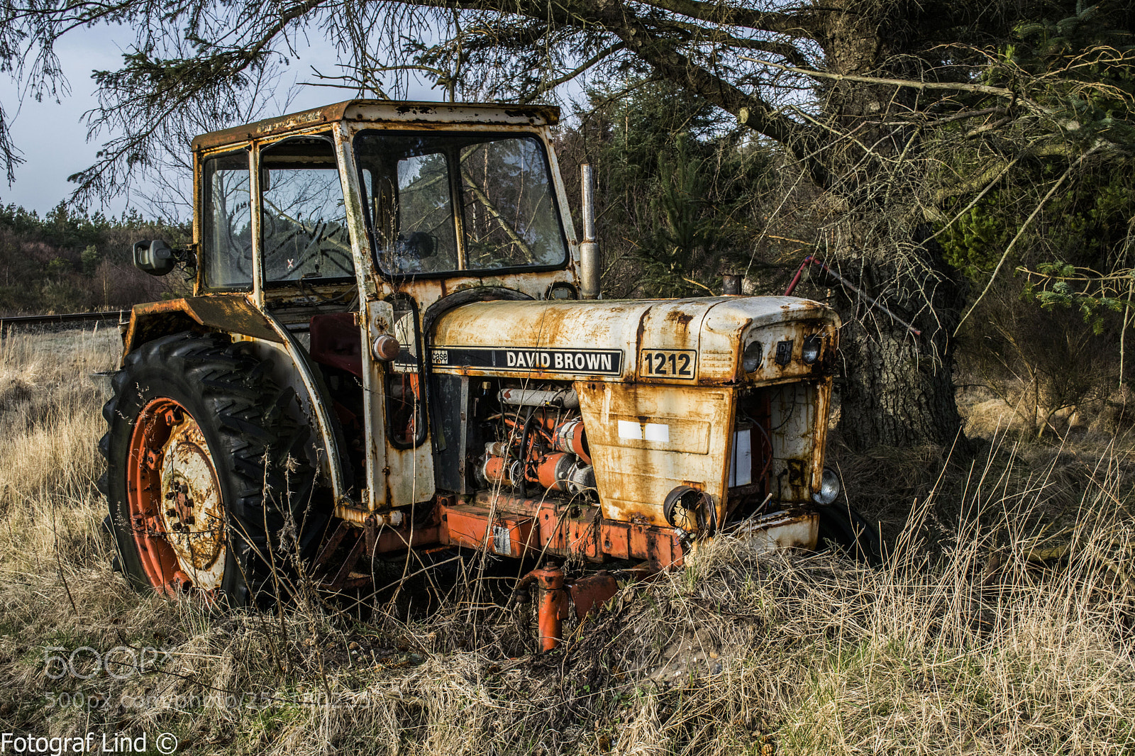 Nikon D5300 sample photo. David brown 1212 photography