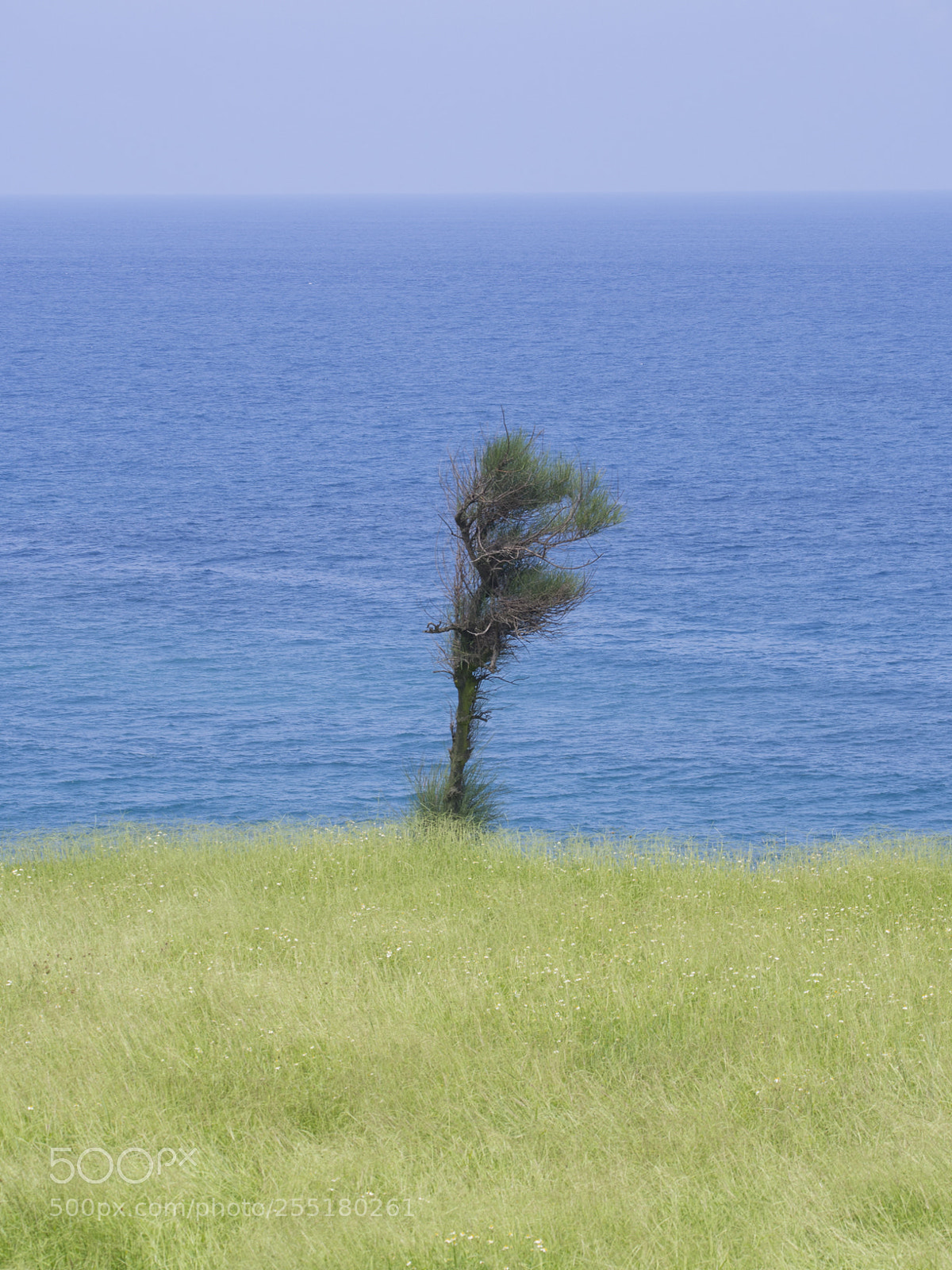 Olympus PEN E-PL5 sample photo. The wind is blue photography