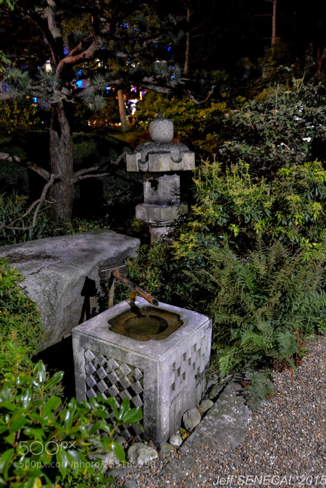 Nikon D7100 sample photo. Jardin japonais photography