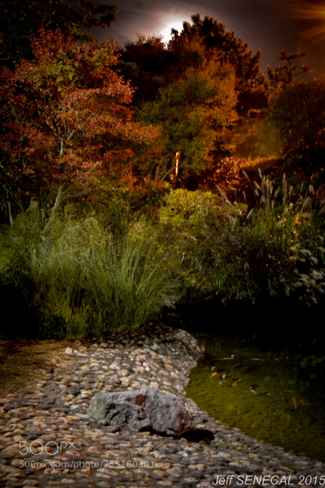 Nikon D7100 sample photo. Jardin japonais photography