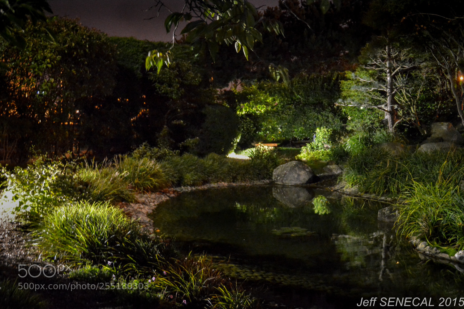 Nikon D7100 sample photo. Jardin japonais photography