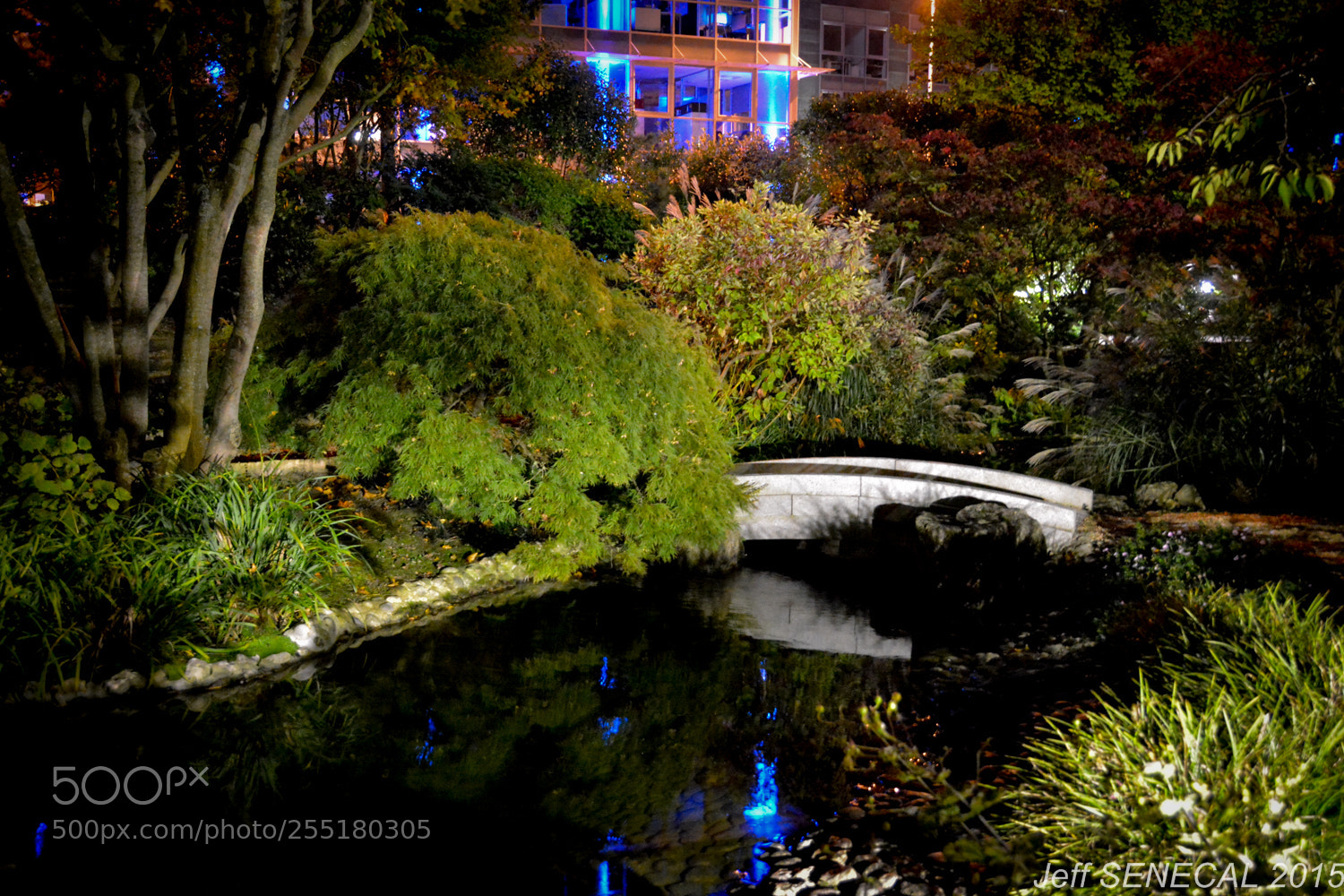 Nikon D7100 sample photo. Jardin japonais photography