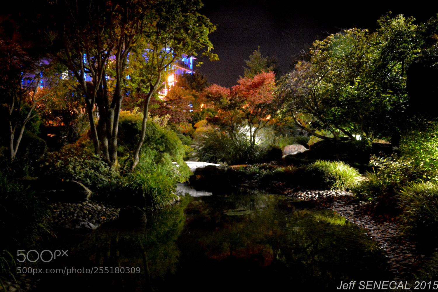 Nikon D7100 sample photo. Jardin japonais photography