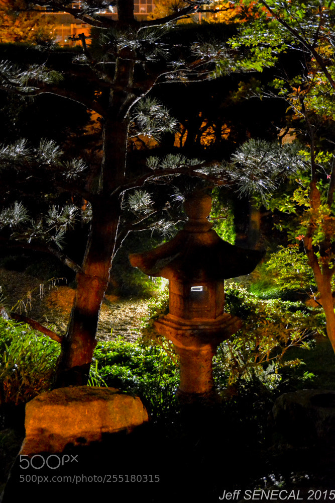 Nikon D7100 sample photo. Jardin japonais photography