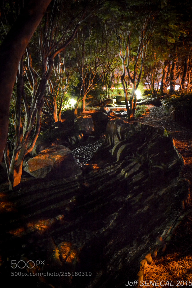 Nikon D7100 sample photo. Jardin japonais photography