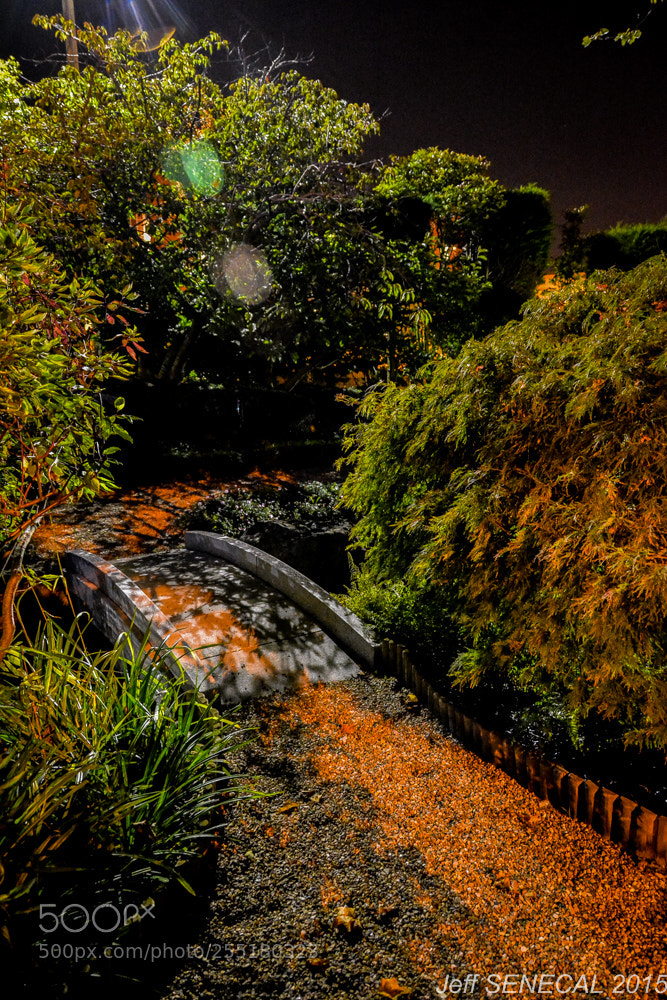 Nikon D7100 sample photo. Jardin japonais photography