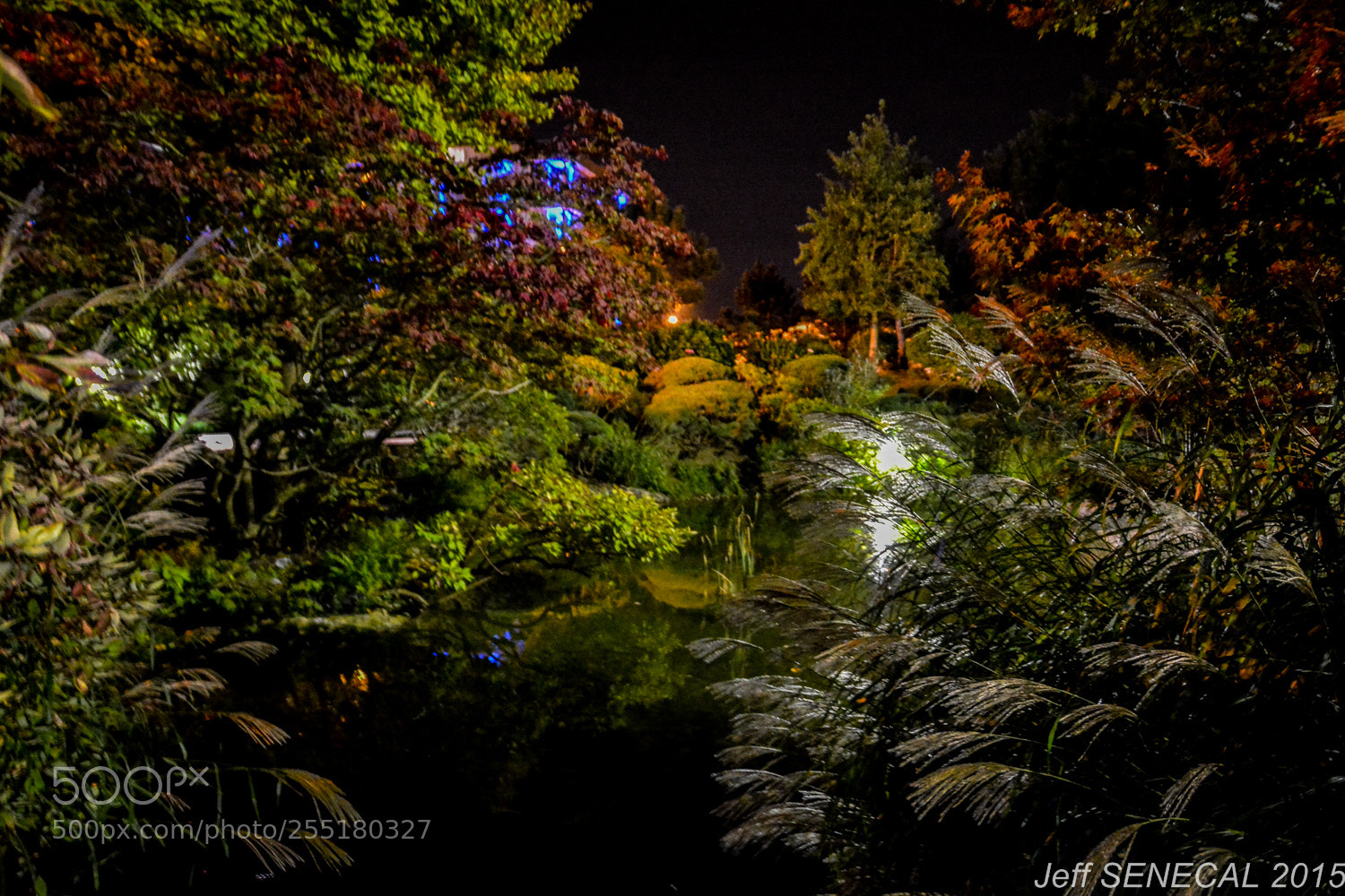 Nikon D7100 sample photo. Jardin japonais photography