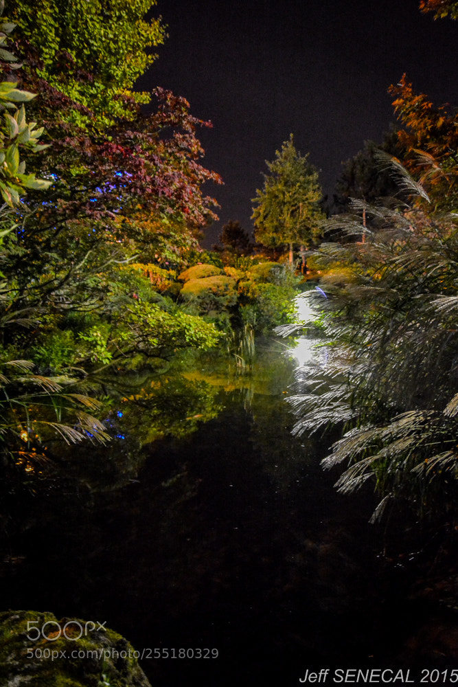 Nikon D7100 sample photo. Jardin japonais photography