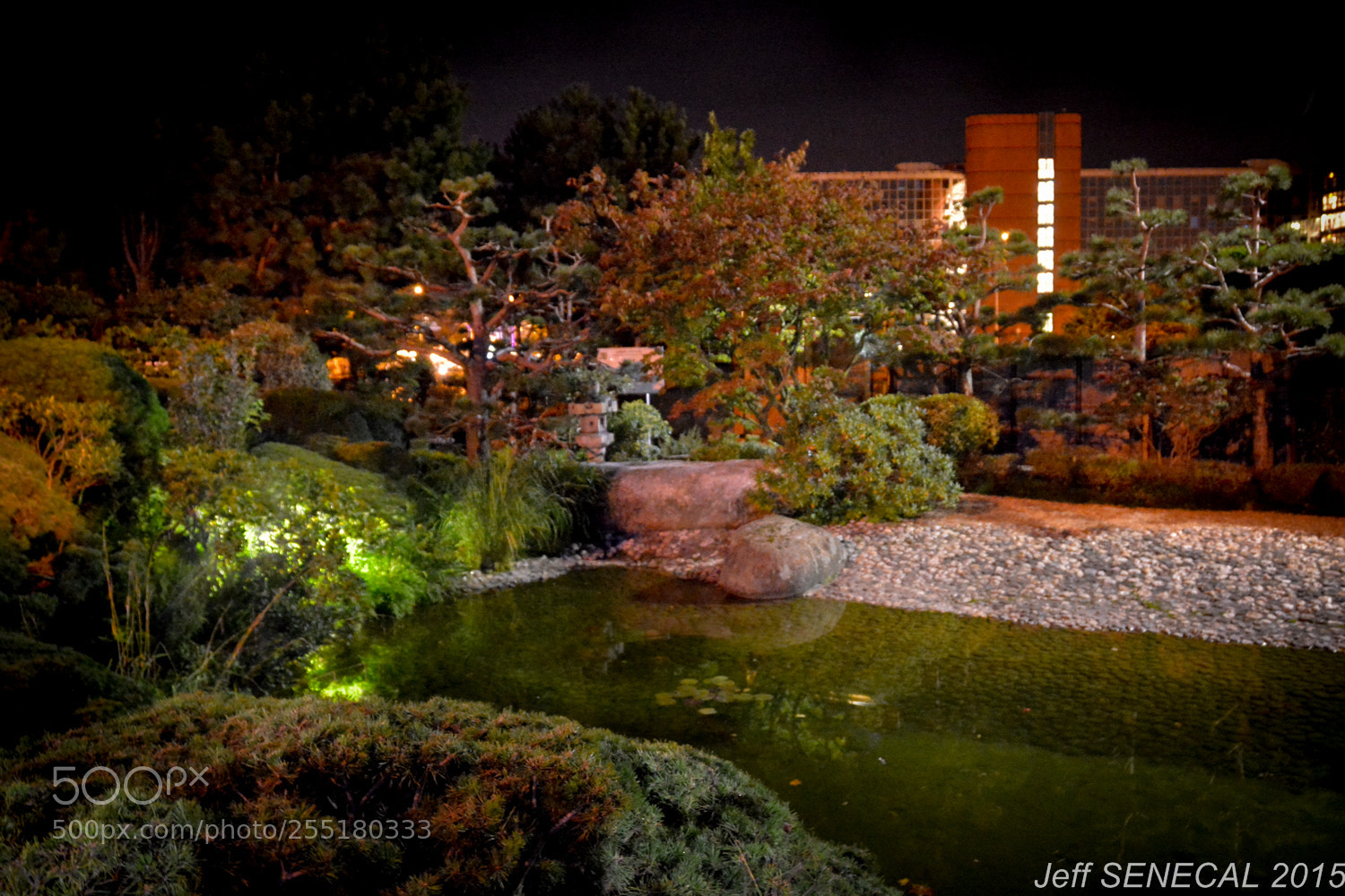 Nikon D7100 sample photo. Jardin japonais photography