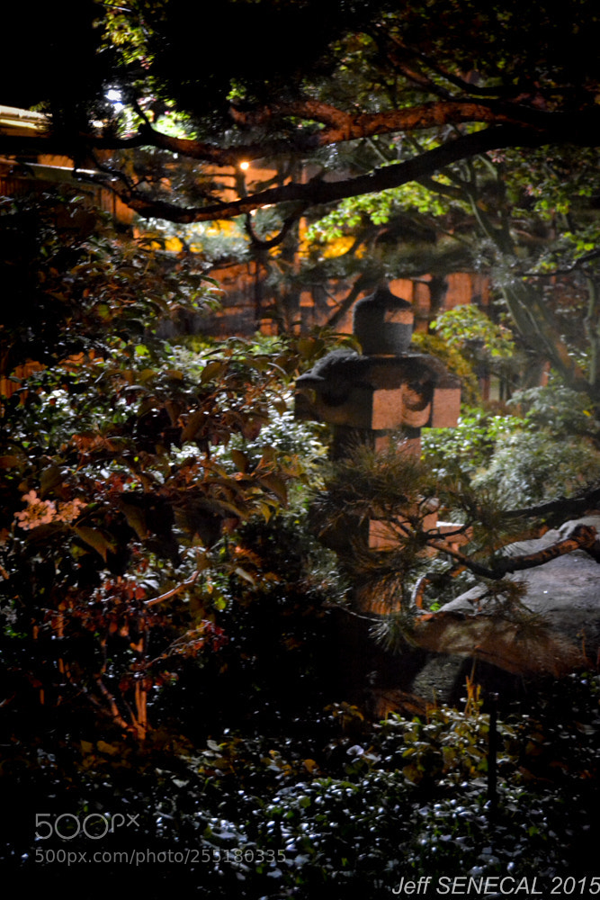 Nikon D7100 sample photo. Jardin japonais photography