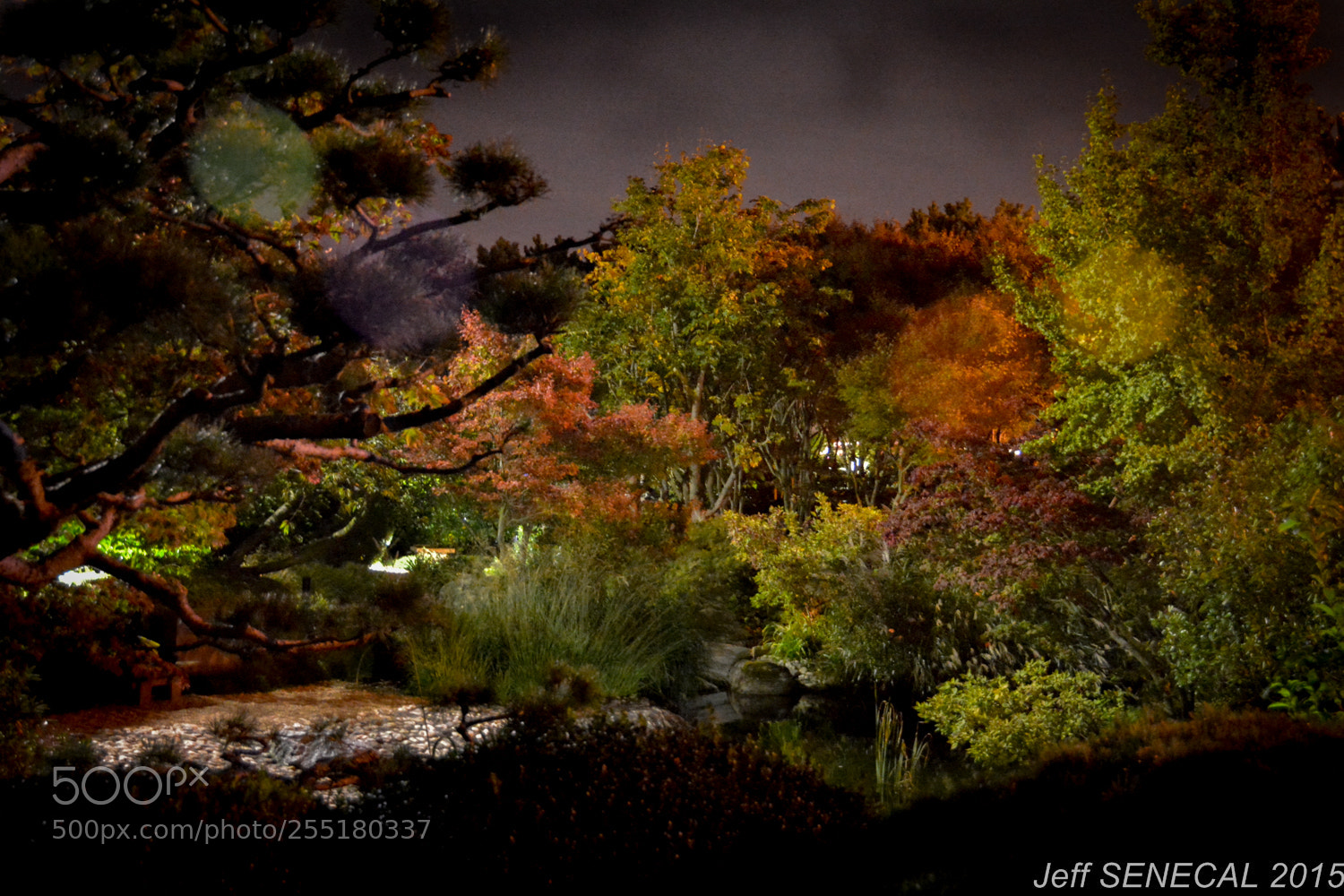 Nikon D7100 sample photo. Jardin japonais photography