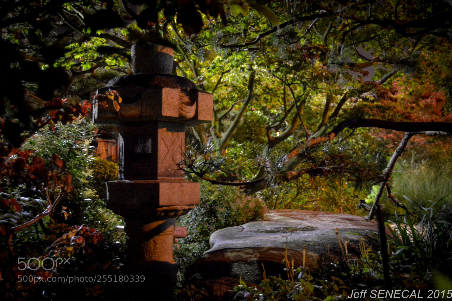 Nikon D7100 sample photo. Jardin japonais photography