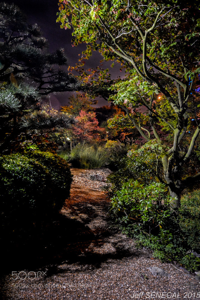 Nikon D7100 sample photo. Jardin japonais photography