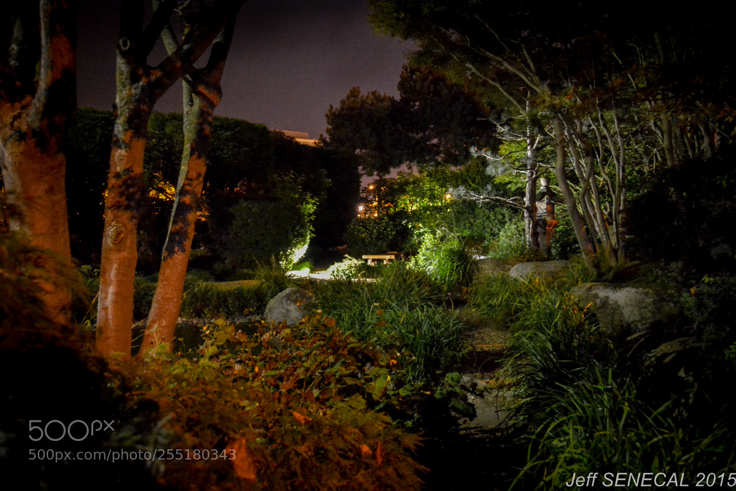 Nikon D7100 sample photo. Jardin japonais photography