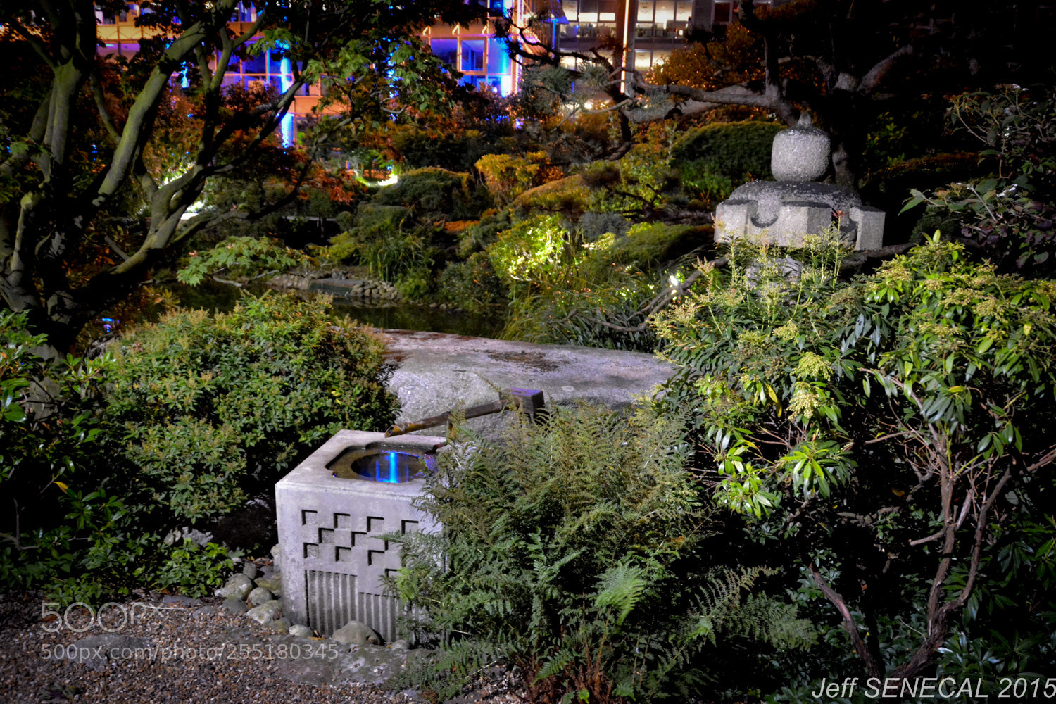 Nikon D7100 sample photo. Jardin japonais photography