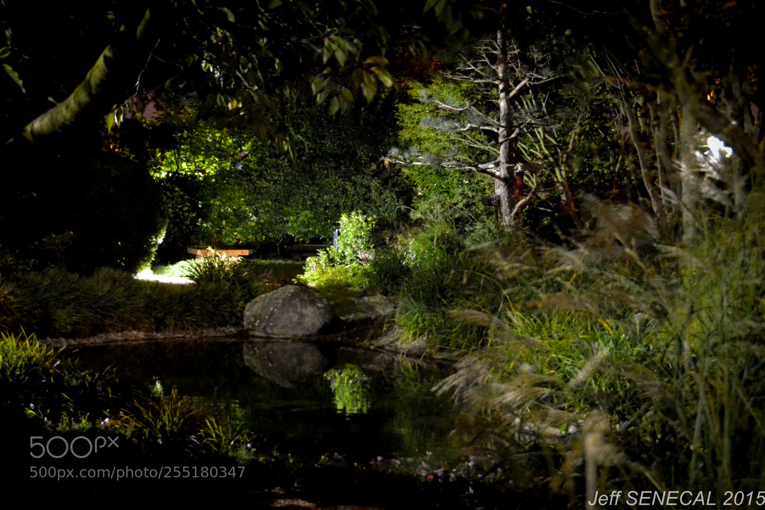 Nikon D7100 sample photo. Jardin japonais photography