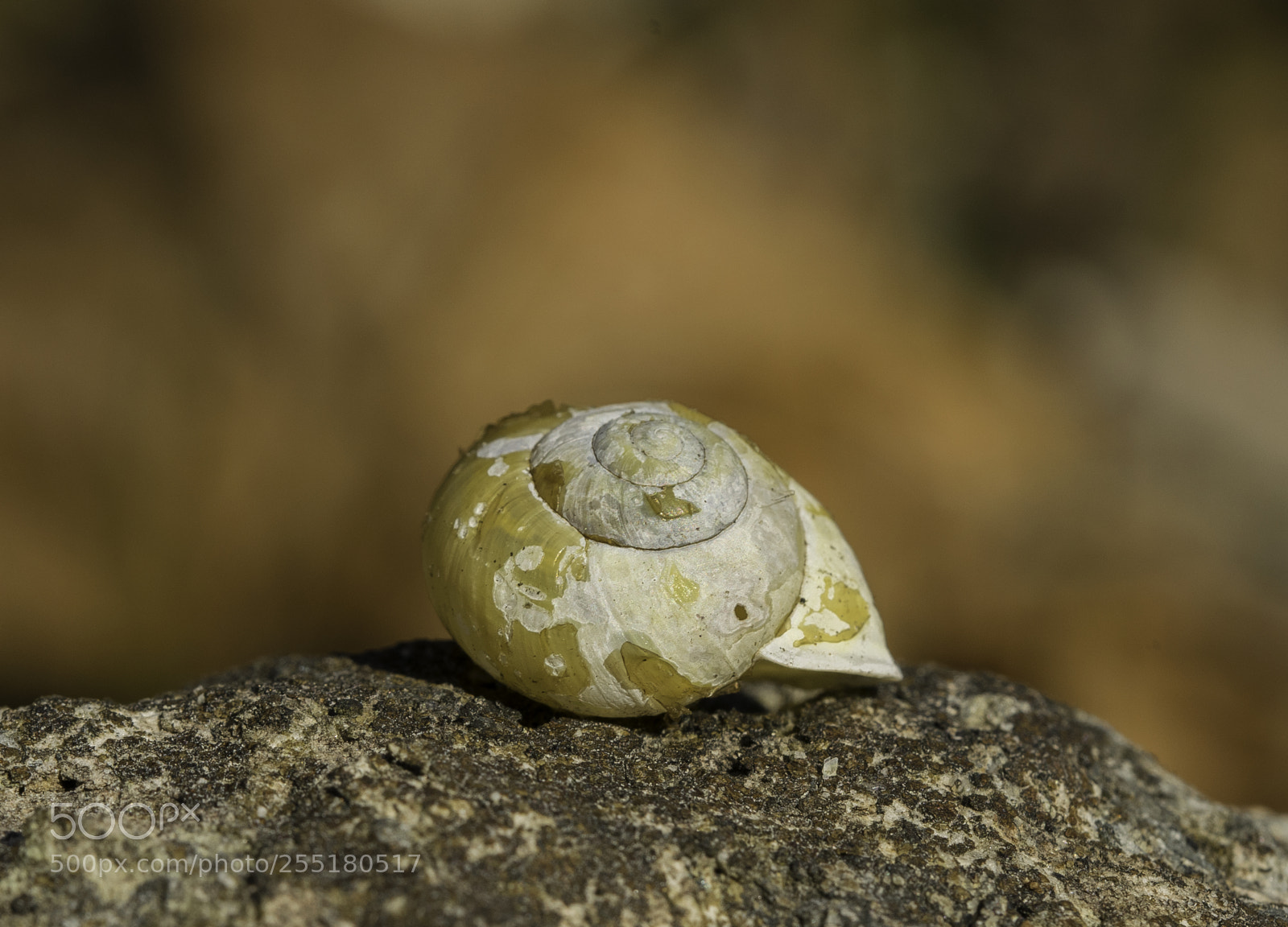 Nikon D5300 sample photo. Animals - misc photography