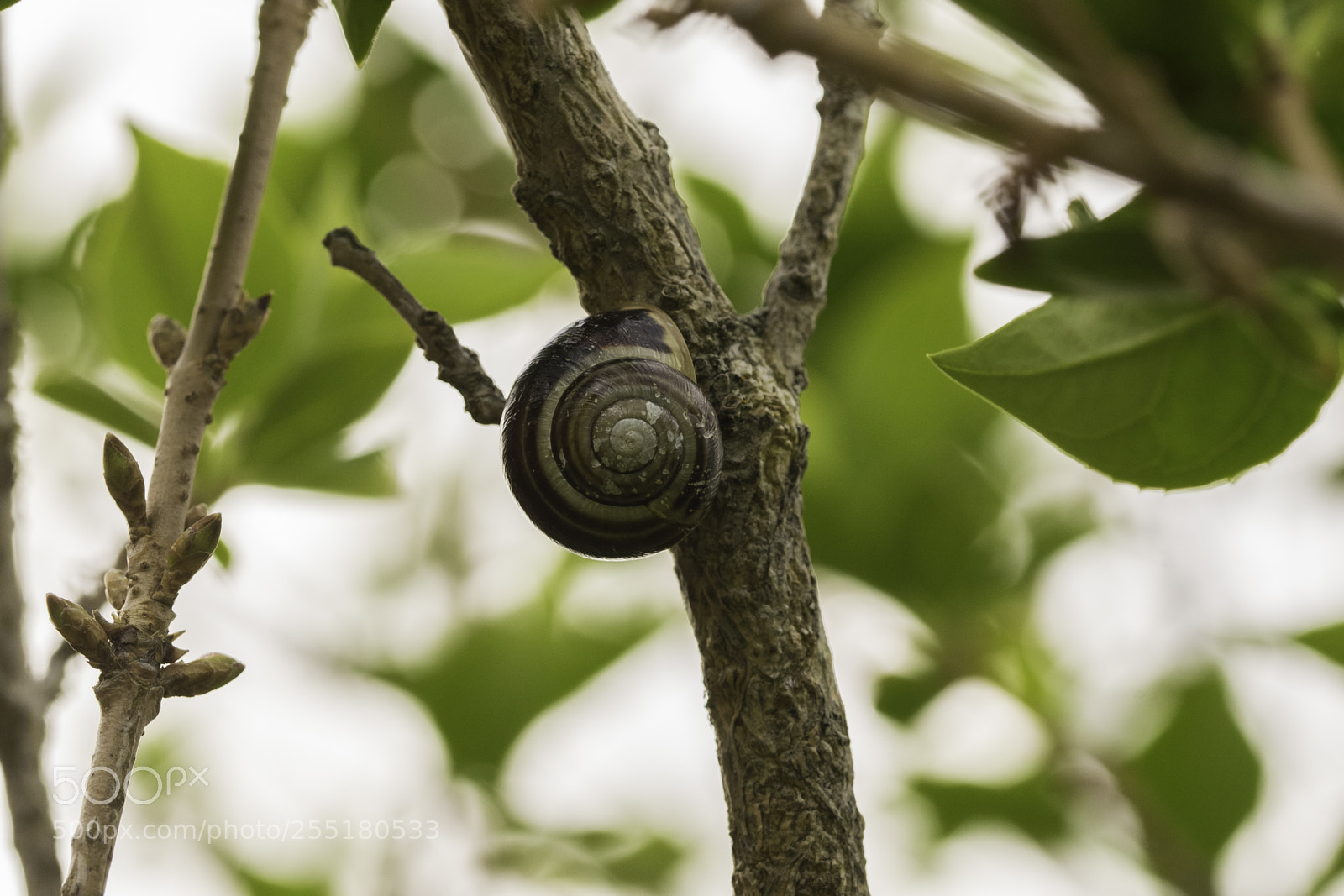 Nikon D5300 sample photo. Animals - misc photography