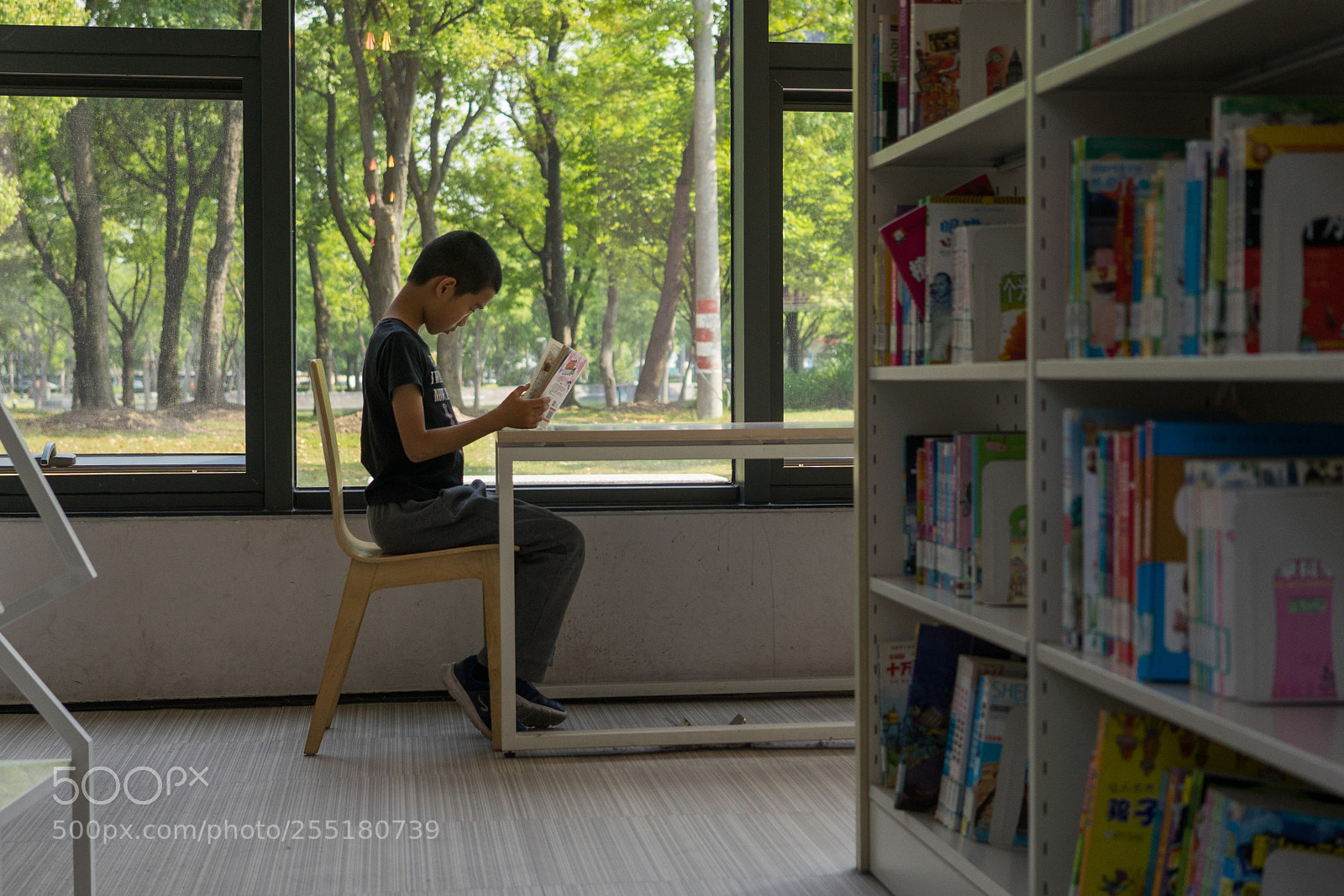 Sony a7 sample photo. Focus on reading photography