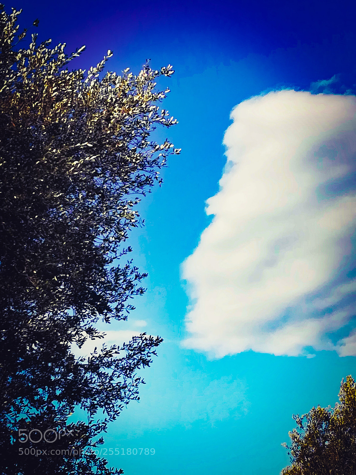 HUAWEI P10 lite sample photo. "fight" between heaven & earth... photography