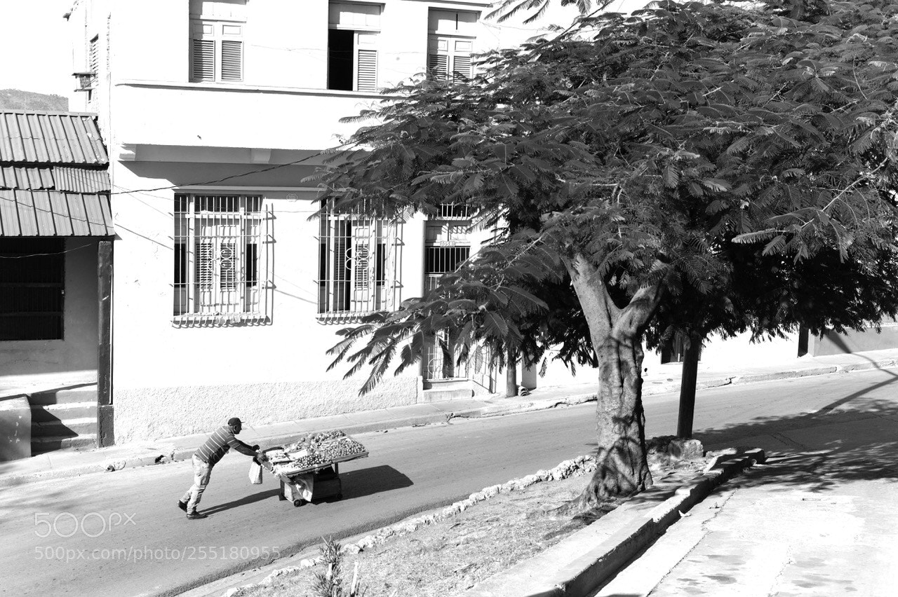 Leica M9 sample photo. Untitled photography
