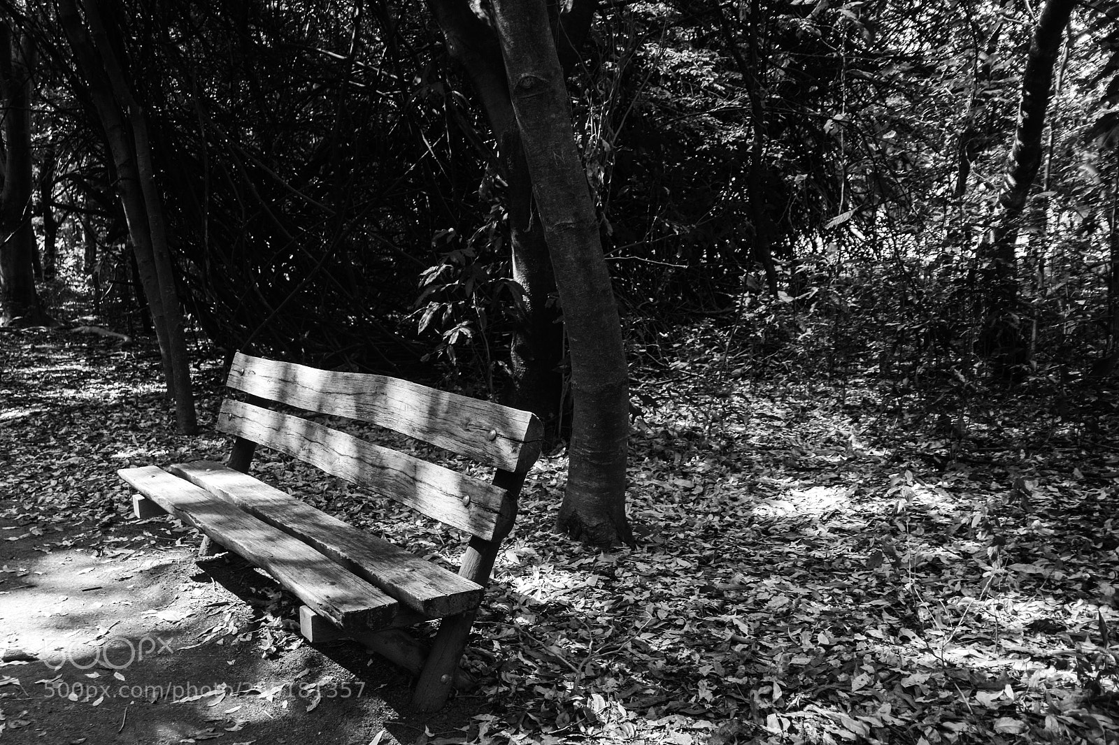 Nikon D5300 sample photo. Vila lobos (de ) photography