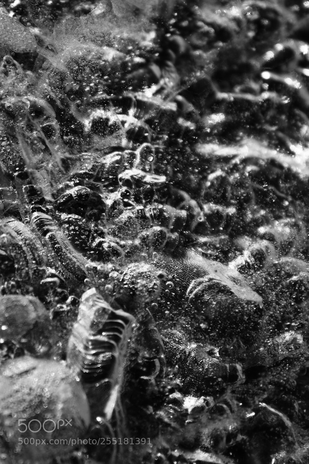 Canon EOS 1000D (EOS Digital Rebel XS / EOS Kiss F) sample photo. The center of the photography