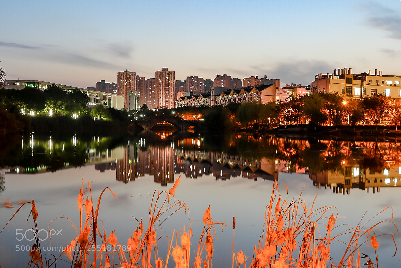 Canon EOS 70D sample photo. 水中影 photography