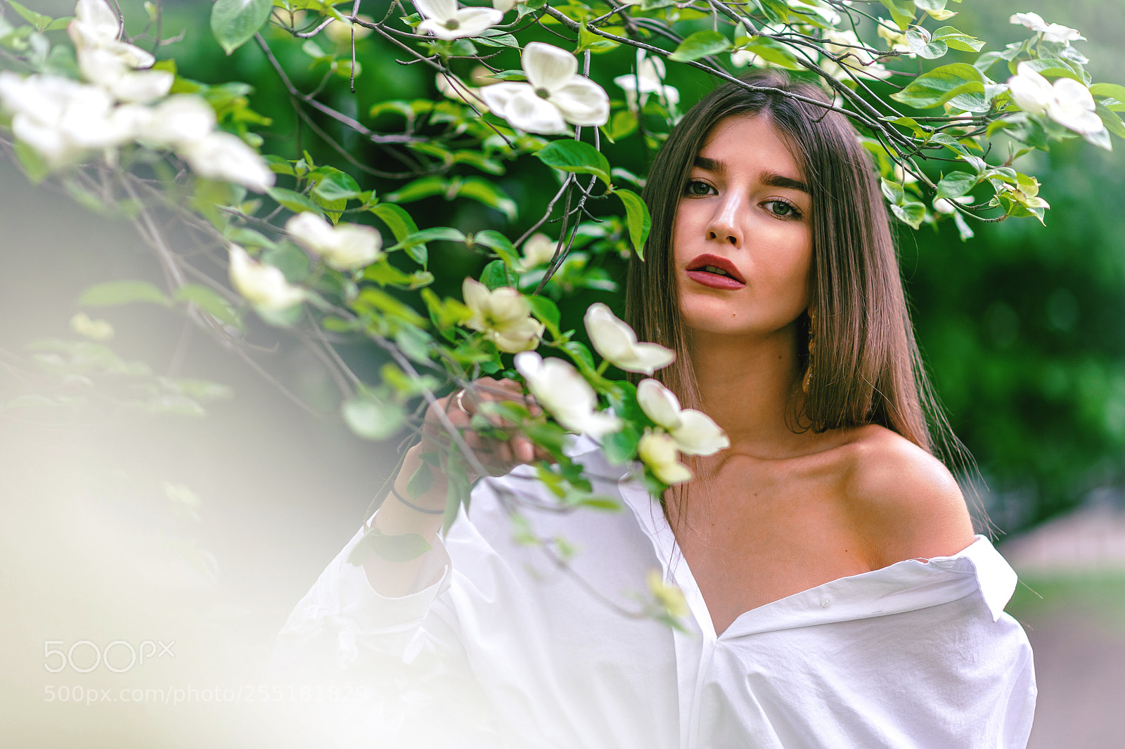 Nikon D850 sample photo. Surrounded by flowers photography
