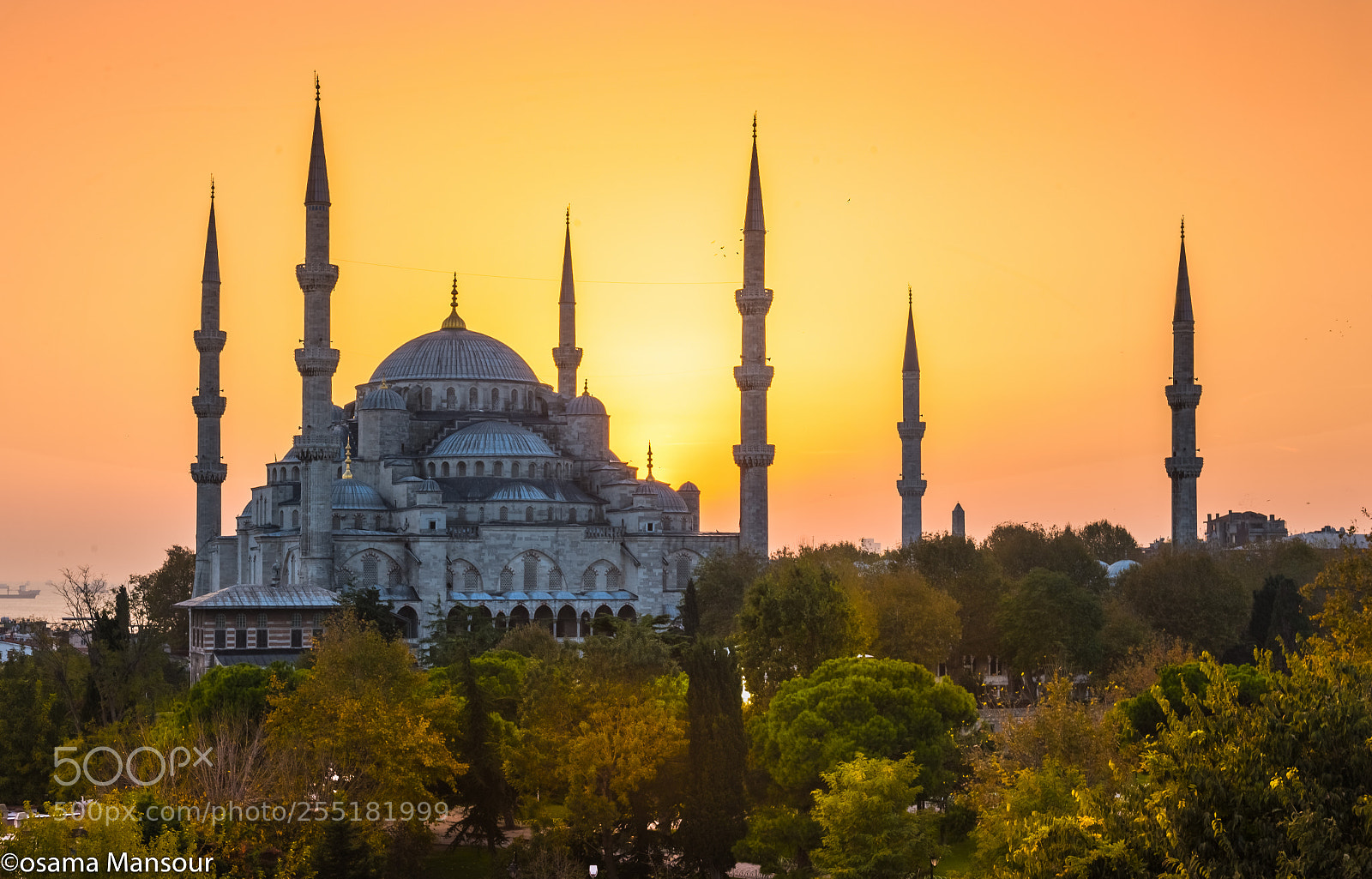 Nikon D610 sample photo. Sultanahmet mosque photography