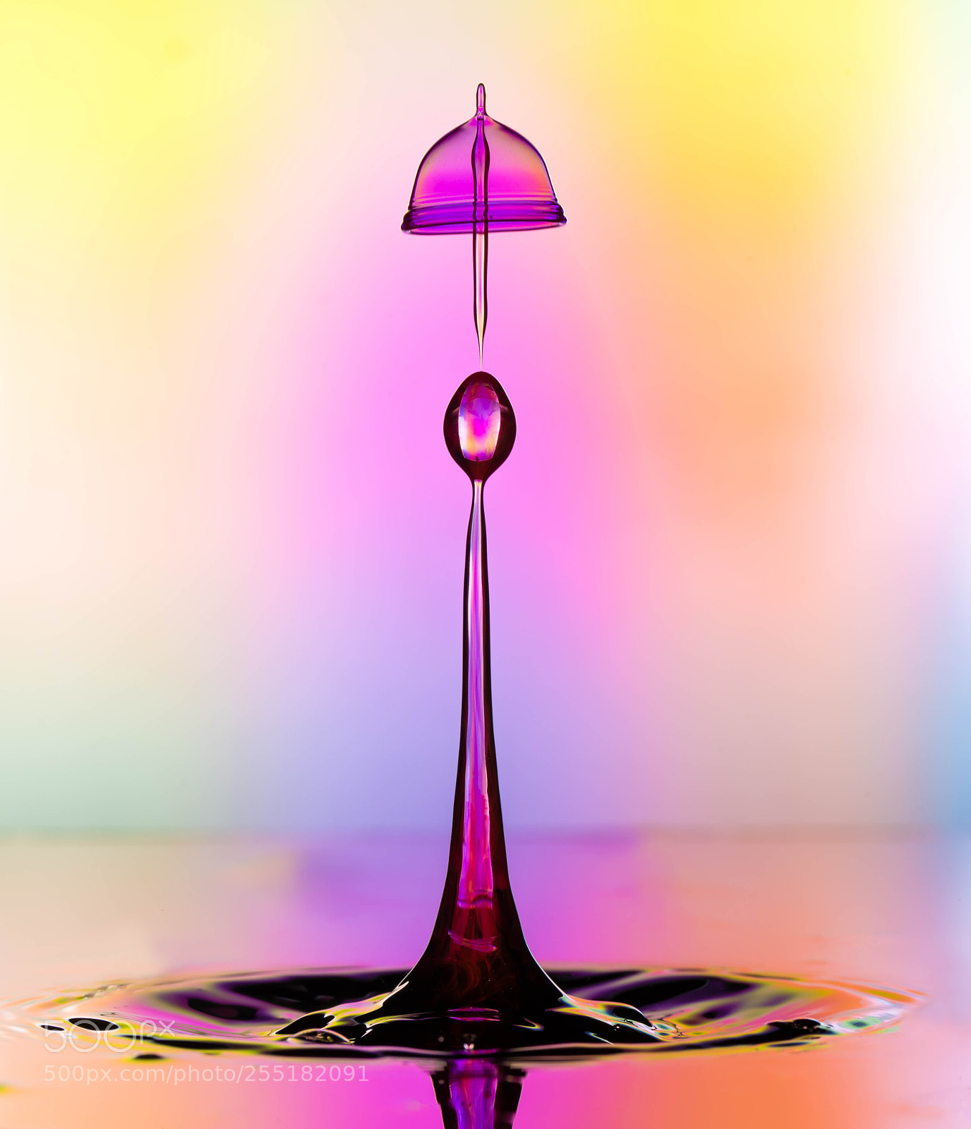Sony a7R III sample photo. The jellyfish photography