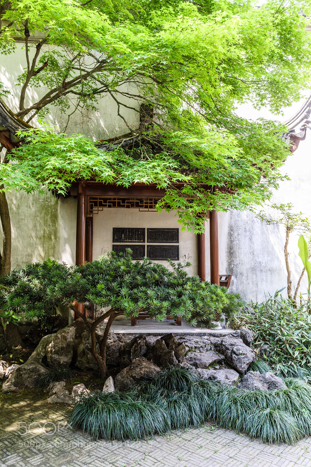 Canon EOS 5D Mark IV sample photo. Ming xuan photography