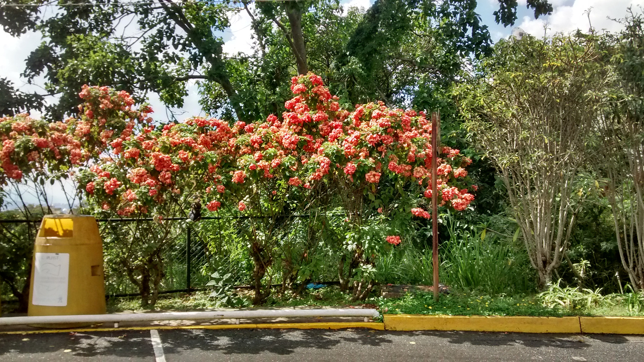 Motorola XT1032 sample photo. Hdr photography