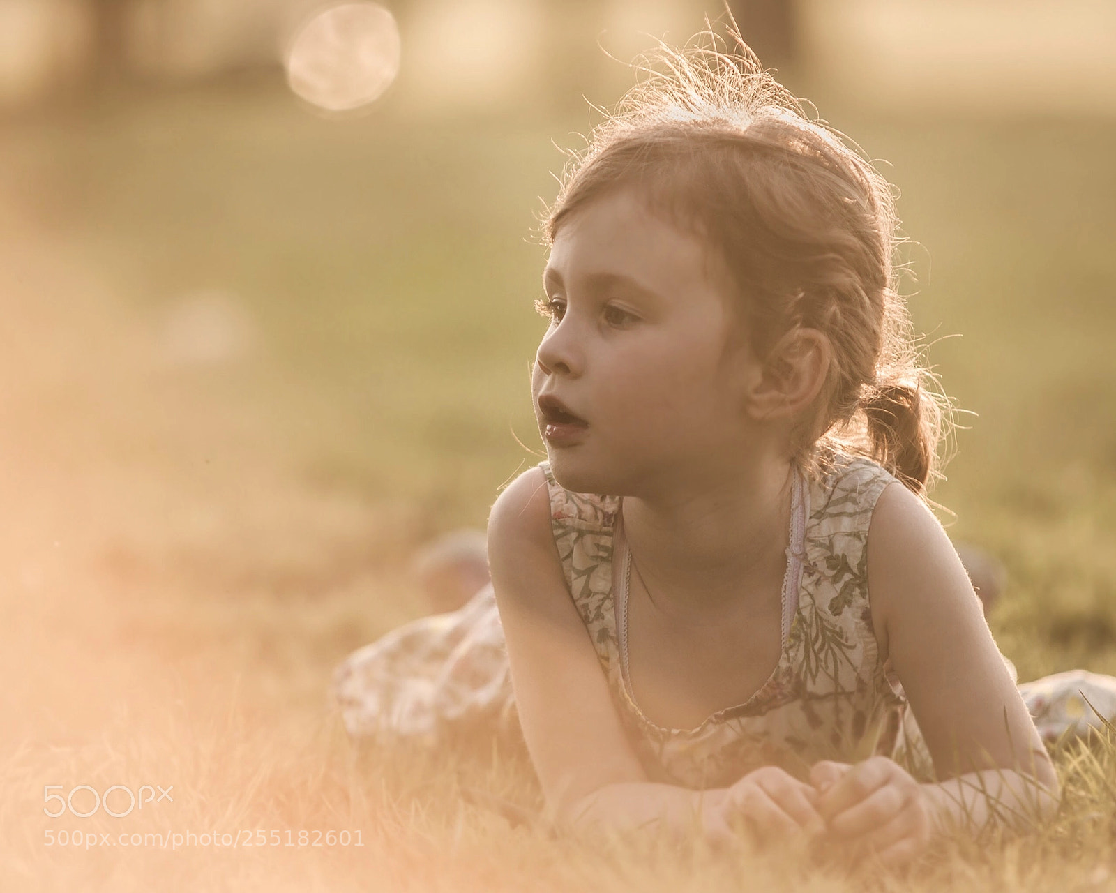 Canon EOS-1Ds Mark II sample photo. Lazy evening  photography