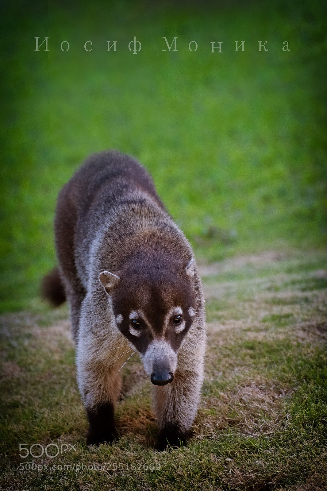 Nikon D5200 sample photo. (z ) photography