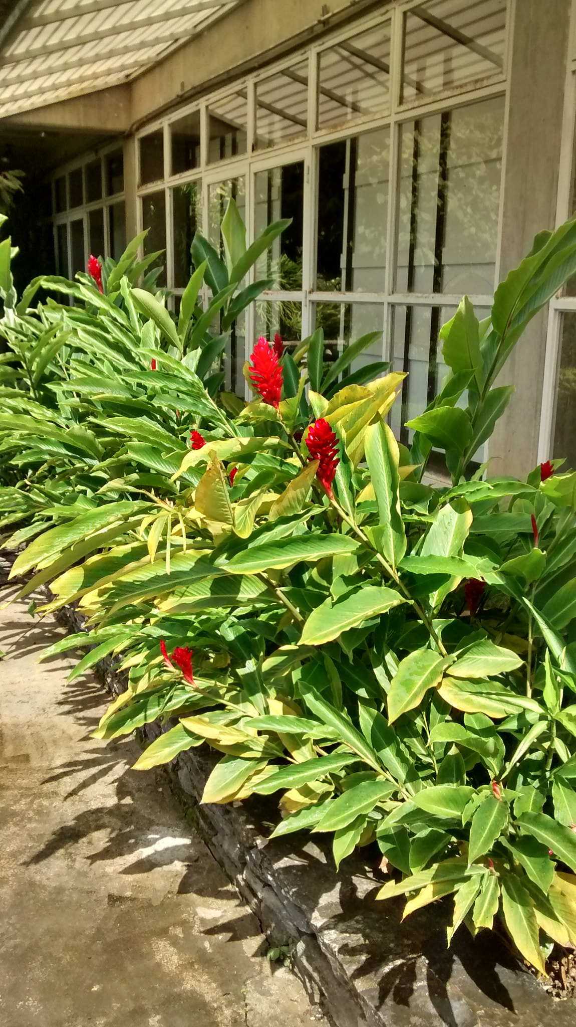 Motorola XT1032 sample photo. Hdr photography
